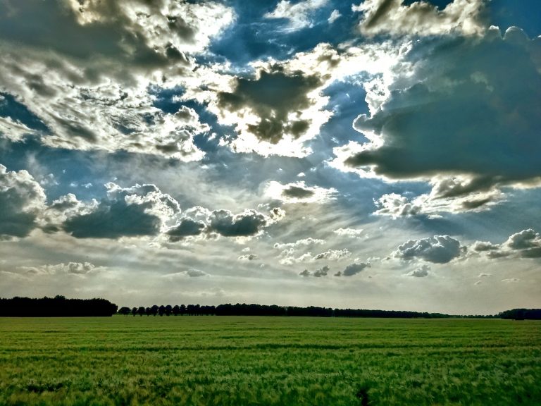 Brandenburgische Landschaft