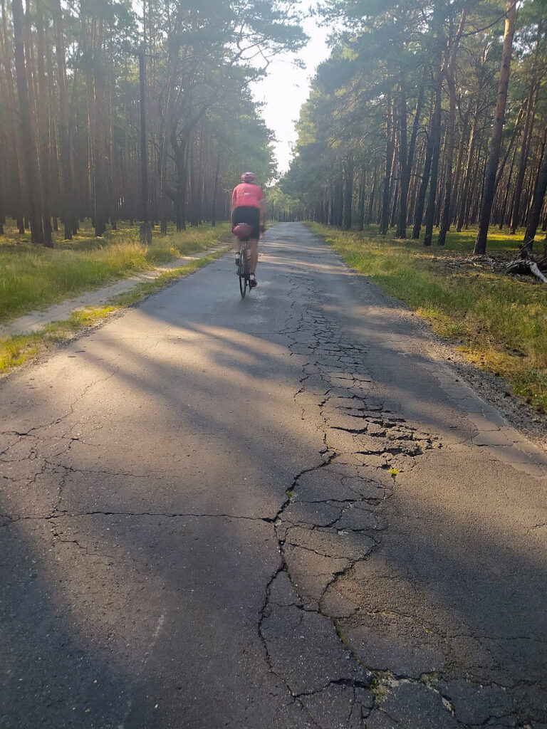 Recht guter Waldweg kurz vor der Oder