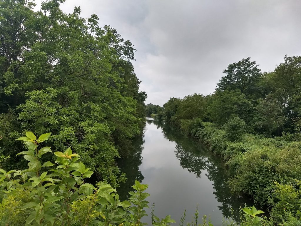 Bewachsener Abschnitt des Rhein-Rhône-Kanal