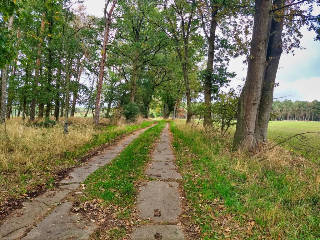 Feldweg auf dem Rückweg