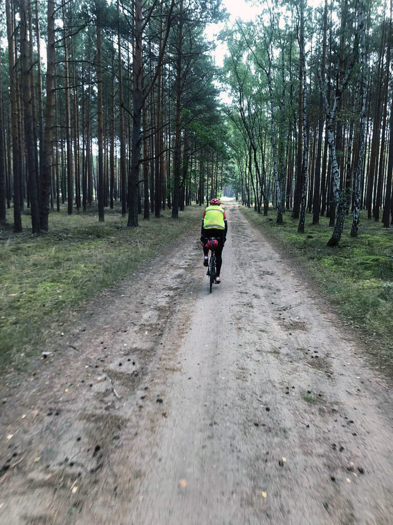 Umleitung durch den Wald