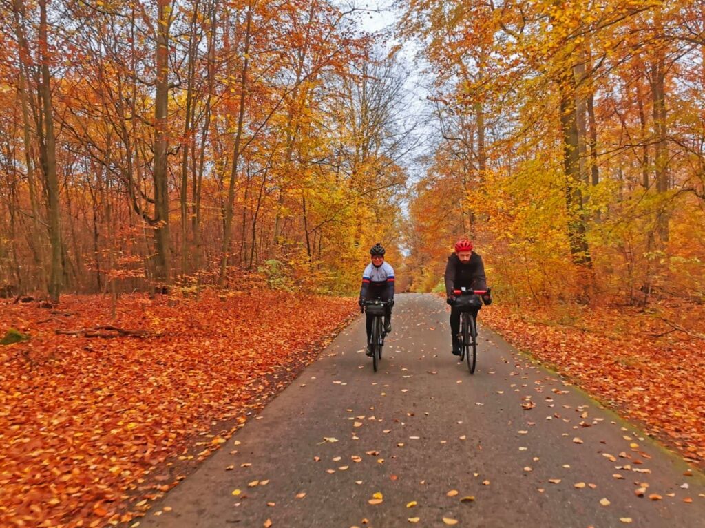 Unterwegs im herbstlichen Wald