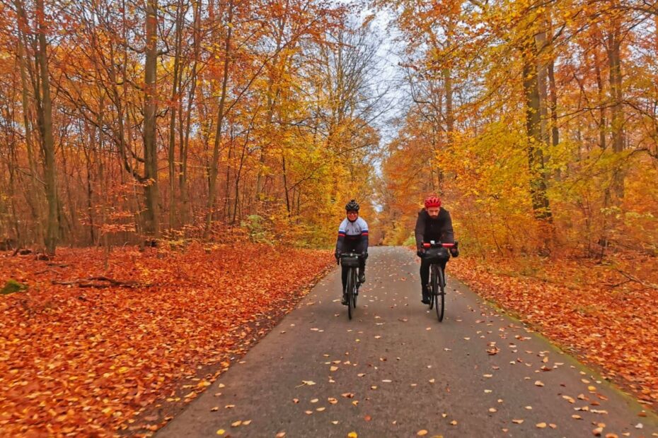 Unterwegs im herbstlichen Wald