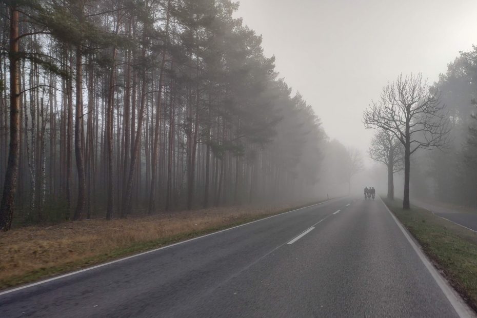 Neblige Straße