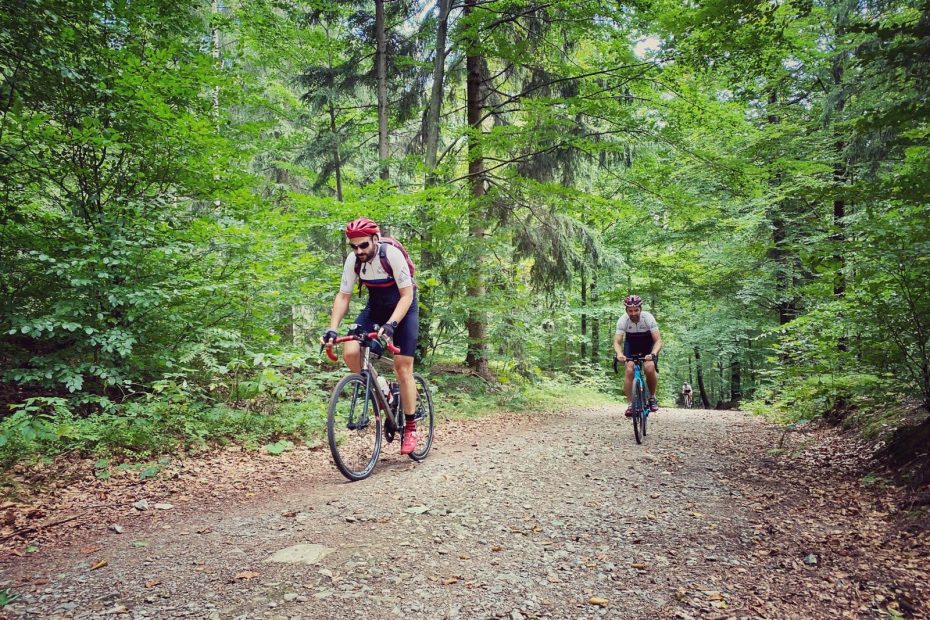 Schotterwege im Wald